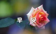 分享给你的朋友圈的早安激励语，希望能够带给你清晨的动力和正能量！