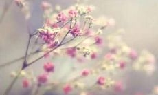 你的班级口号可以有多炫？！尽情展现团队气质，展示班级风采，选出最炫口号，16字就够了！