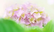 高情商者的每日工作：分享60句高情商早安问候语