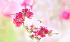 2022年的早晨问候语：如何用最简单、最有力的话语表达最深切的祝愿？