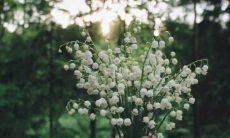 霸气十足的队名口号大全，共计16个字，让你的球队更有个性和战斗力！