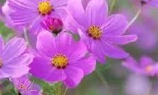 汇总：霸气十足的比赛口号大全，包括中一班口号