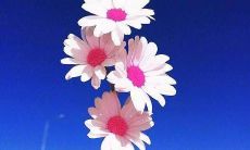 展现实力的必胜口号大全，拥有霸气十足的独特魅力