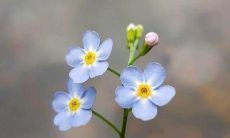 改写后的标题：霸气押韵的比赛口号，点燃全场激情