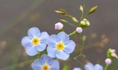 如何创造一个成功的比赛口号：8个字是不够的！