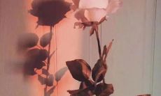 探究2022年最令人感动的、蕴含深情厚谊的情感宣言