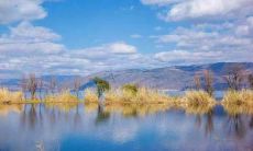 有什么口号可以使保险公司显得更霸气、富有韵律和具有八字格局的特点？