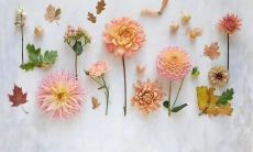 这家服装公司的口号兼备霸气回旋和押韵技巧，侧面透露出品牌的强劲实力和品味之美！