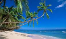 流行服装畅销，诠释时尚美学，精心设计演绎个性风范，不断追求品质和格调，为你带来最佳穿搭选择！