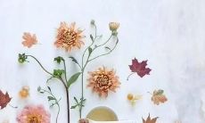 保安公司的口号，意义非凡，不仅霸气十足还巧妙押韵，让人印象深刻