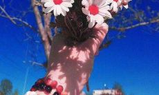 拥有霸气十足的动物口号大全，带你进入动物王国的世界！