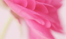 友情是一种持久不变的情谊，能够贯穿时间和距离的话语