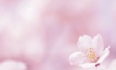 “一探人品、金钱和友情之间的复杂关系：探究这三者之间的互动和影响”的标题