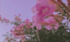 2022年即将到来，最暖心的话语必读！