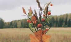 动物队名和口号：探索野性之美，展现动物王国的荣耀