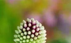 盘点霸气十足的比赛口号，游戏口号大全来袭！