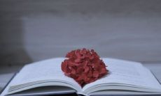 中秋佳节，精选独具匠心的员工祝福语，送给您亲爱的团队成员，以表达您的心意和感激之情！