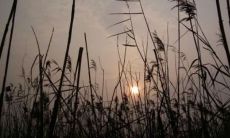 破碎的爱情和无尽的痛苦：令人沉醉的唯美句子