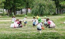 精选幼儿在幼儿园里无限快乐的表述，描述幼儿园孩子嬉戏玩耍的状态