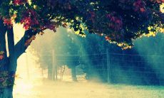 在毕业之际，我对我的同学们表达感恩之情的句子