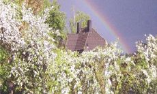 焦虑不安的心情：探讨背叛友情的句子，表达内心真实感受