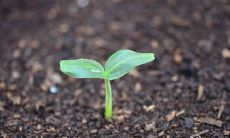 以阳光为座右铭，远离烦恼，拥抱快乐和正能量！