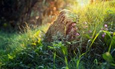 流淌泪水的句子，表达深爱之人心碎心痛的情绪短语