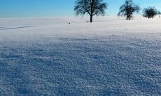 了记得多喝热水，保持身体温暖哦！