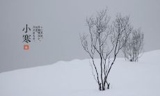 欢度小寒佳节：给亲朋好友发上心意满满的问候短信吧！