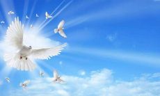 用于祝福和表达友情之情的优美短语集锦