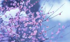 一生难忘的友谊：流淌着真挚情感的句子