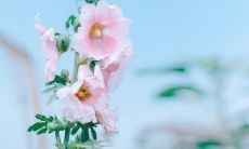 深令心痛的极度伤心绝望句子关于亲情的表达