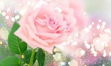 探索少为人知但极具魅力的语句珍品