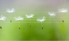 在欢乐的时刻，描绘那让人心旷神怡的和风吧