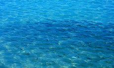 给你们的青春粉色问候！——青年节短信的改写