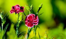 分享回家后开心的搞笑句子，畅快表达心情之旅！