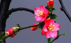 遭受亲人疏离的痛苦：揭示亲情淡漠的言语表达