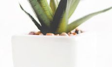 Exquisite and heartwarming English sentences that beautifully capture the essence of familial love and affection