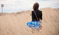 抱有希望、奋力拼搏，等待美好时刻的人生感悟——最新的分享句子