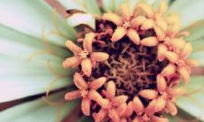 给朋友的亲切留言列表——搭建暖心情感交流平台