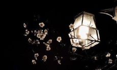 感到有些焦虑和不安，内心感受愈加不安宁，暗示着一种心理疲惫和压力，似乎需要释放和缓解