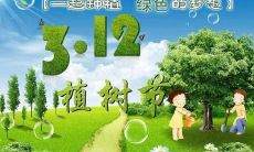 今天庆祝全民植树节的祝福和感言：让我们共同行动，拯救地球生态环境！