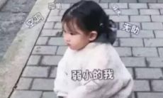 一些荒谬的、充满幽默感的、或者毫无意义的句子，用来在朋友圈引起关注、好笑或者哭笑不得的反应