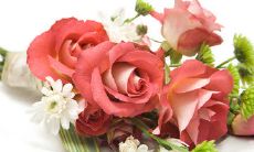 感恩母亲节贺卡中表达感激之情的短句