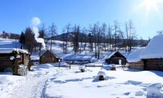 冬季中令人心碎的语句与情绪：一份深刻的感受与表达