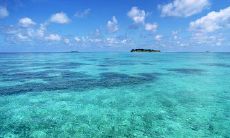 洗完澡后清新宜人的心情，让人难以抑制地感到愉悦和满足，不禁想要分享这种美妙的感受