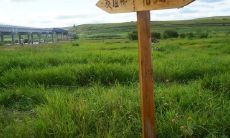 遭受友情背叛的痛苦：失信于友人的言语