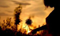 倾诉孤独与烦闷：表达内心真情的句子，窥见孤独者心灵的深处