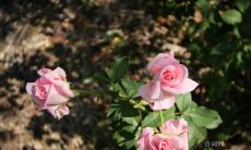 探讨激励热情的励志名言：引领人生道路的灵感和力量！