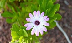 在下雨天，用简短的问候短信表达慰问